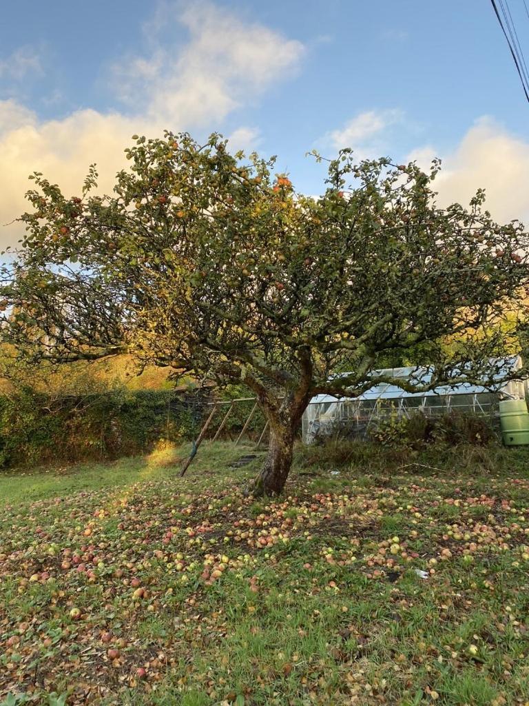 Maes Y Neuadd Talsarnau Bagian luar foto