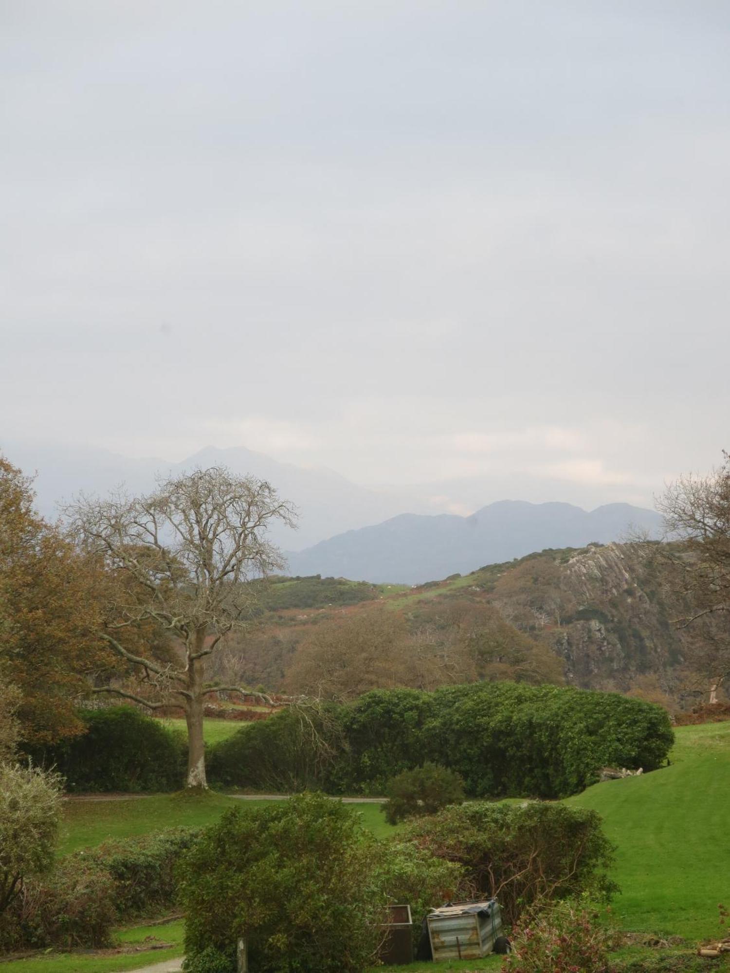 Maes Y Neuadd Talsarnau Ruang foto