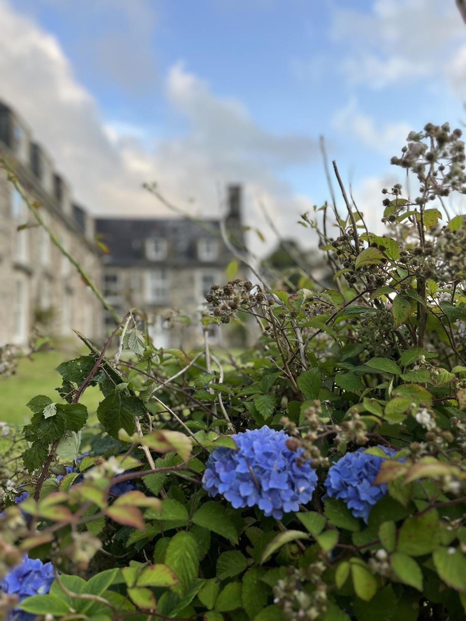 Maes Y Neuadd Talsarnau Ruang foto